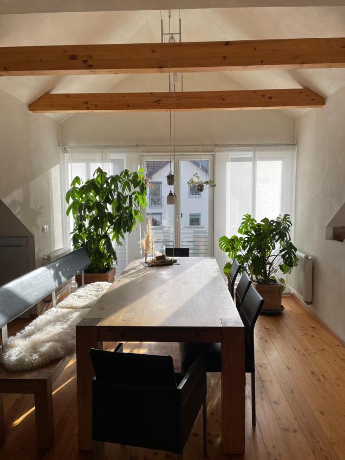 Ferienwohnung Nussbaum-Nest Хаузен Экстерьер фото